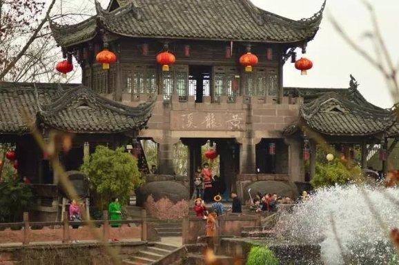 细胞分裂4